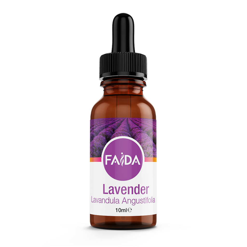 Lavender (Lavandula Angustifolia) 10 ml